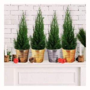 Pintura Metálica Plata Rust-Oleum Metallic 400ml - Imagen 2